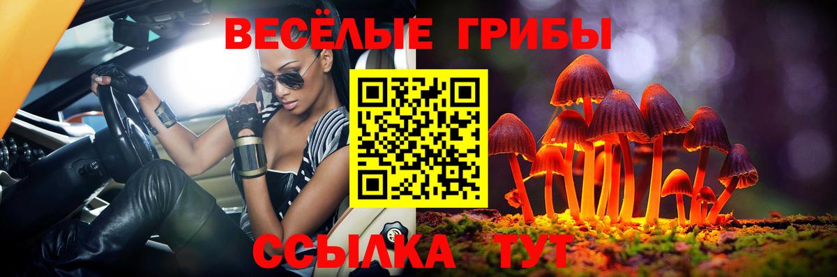 Галлюциногенные грибы GOLDEN TEACHER  Галлюциногенные грибы GOLDEN TEACHER  Вход с VPN  где купить   Ипатово 